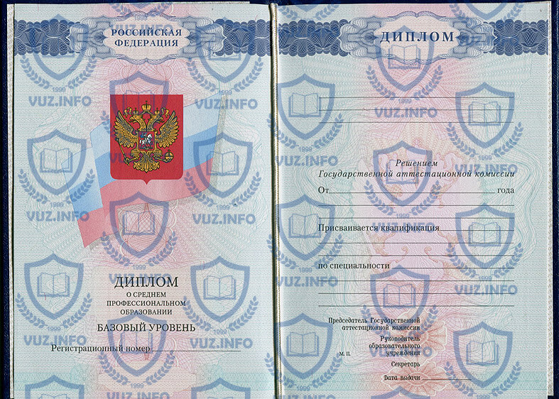 Диплом техникума 2010 2009 2008 годов окончания